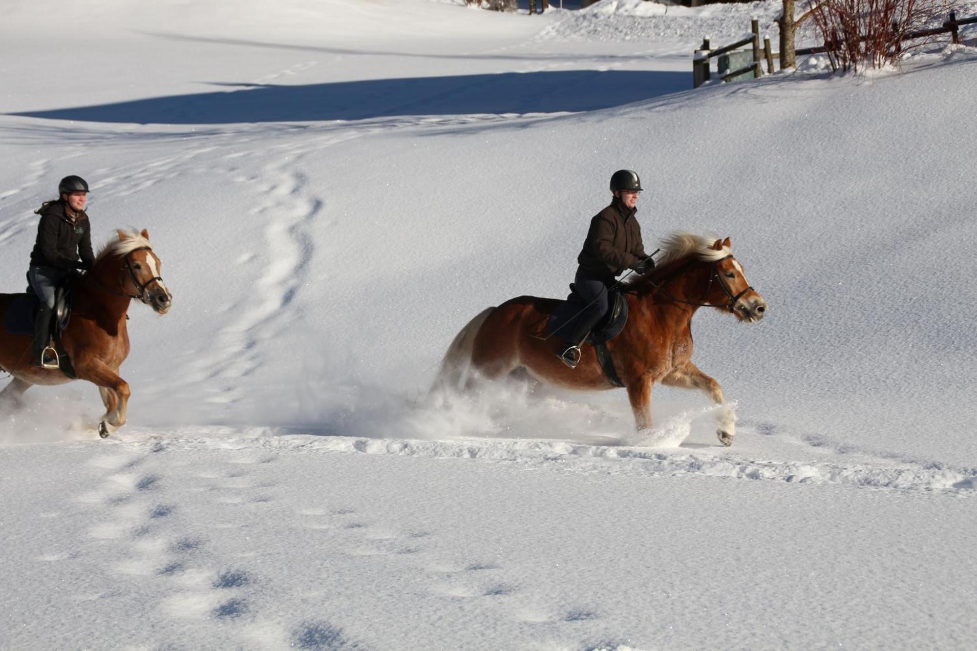 Sporthotel By Alpenlodge Brand  Esterno foto